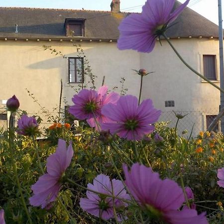 Manoir De La Guignardiere - Charme Et Douceur Chavagne Exteriör bild