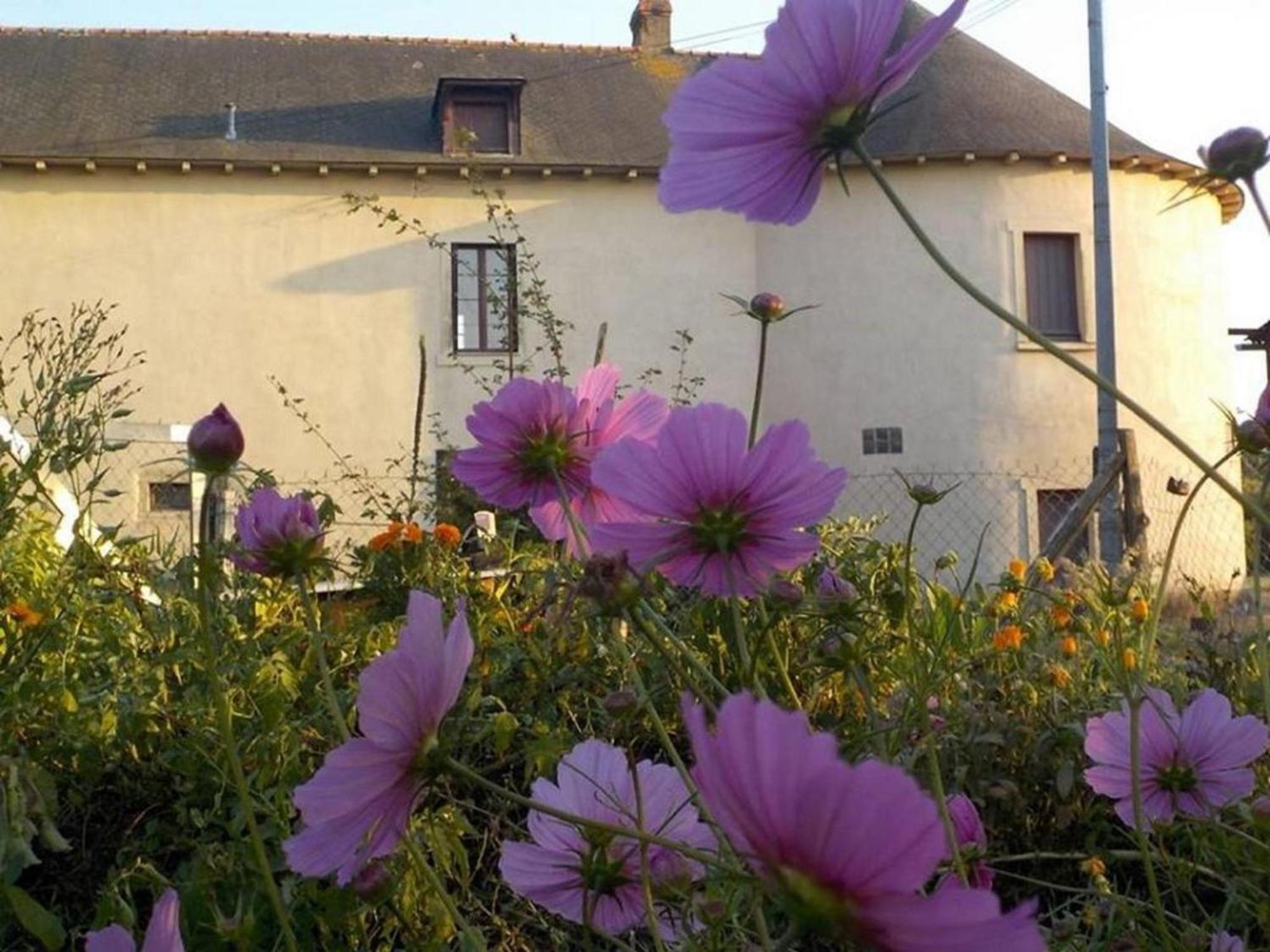 Manoir De La Guignardiere - Charme Et Douceur Chavagne Exteriör bild
